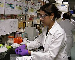 Lizbeth Martinez working in the lab