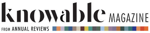 KnowableMagazine logo