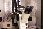    	Asylum MFP-3D Bio System w/ Olympus IX71 Inverted Microscope