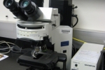 The Olympus BX41 Fluorescence Microscope 